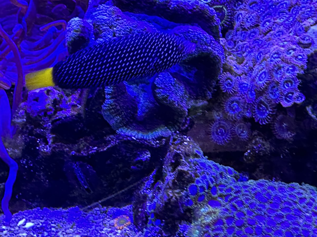 IMG_1944.jpeg