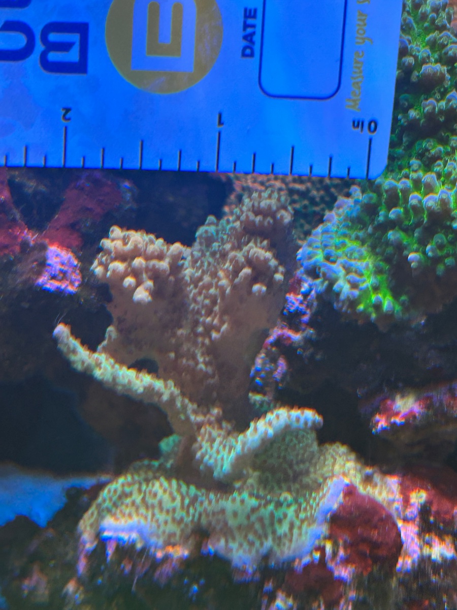 IMG_1948.jpeg