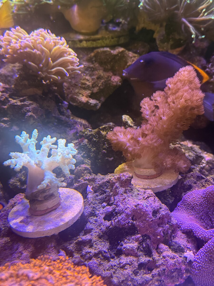 IMG_1953.jpeg