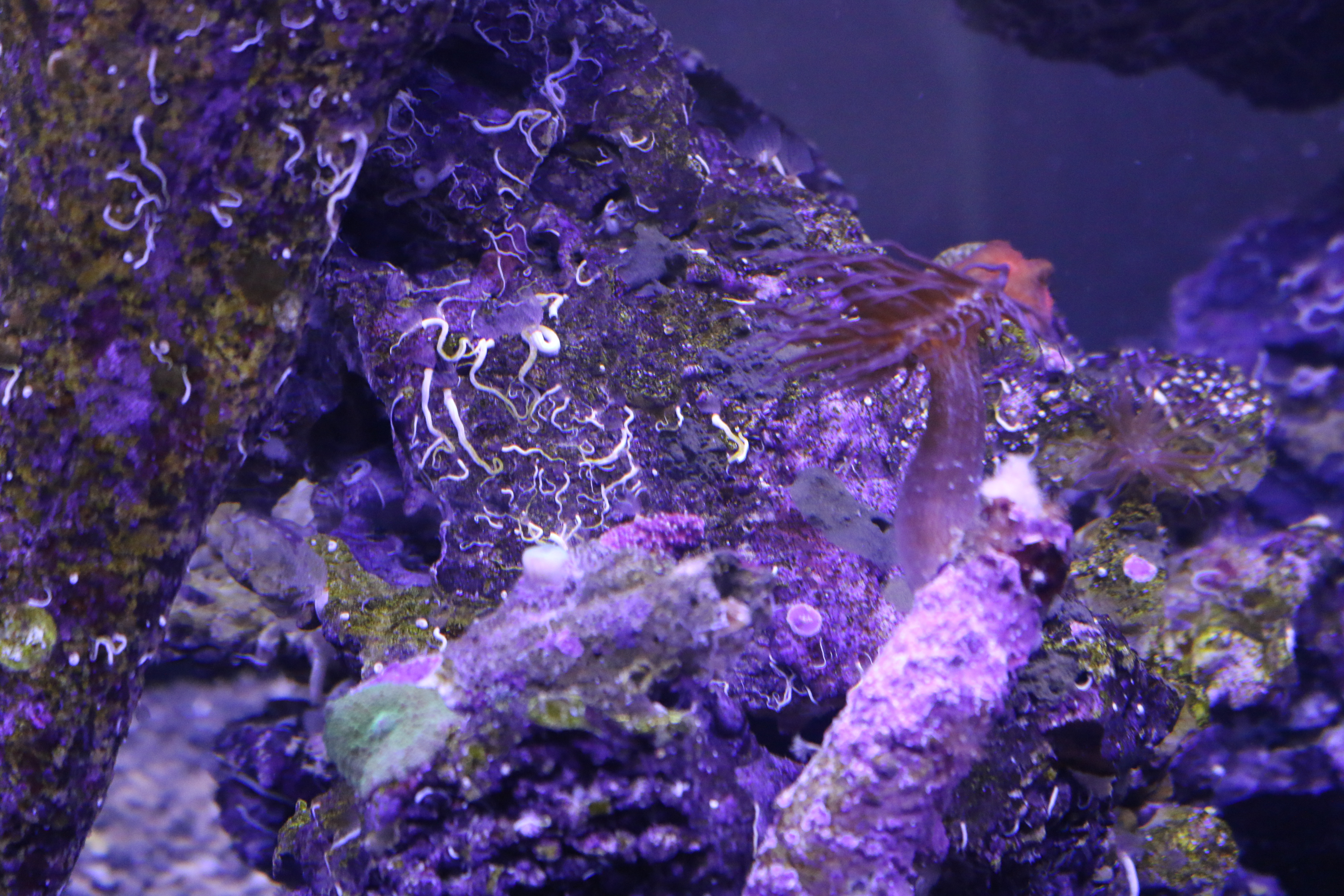 IMG_1957.JPG