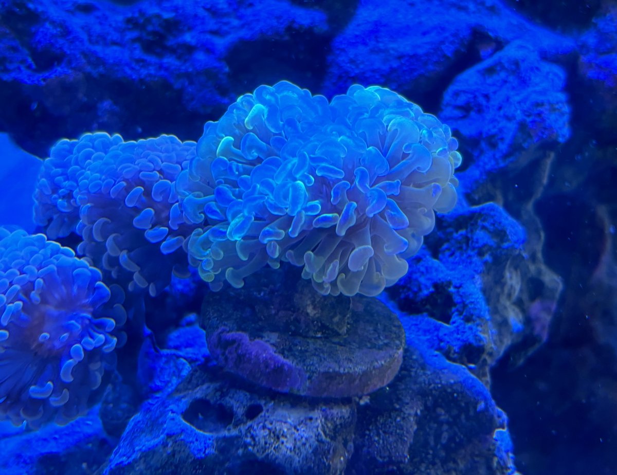 IMG_1965.jpeg