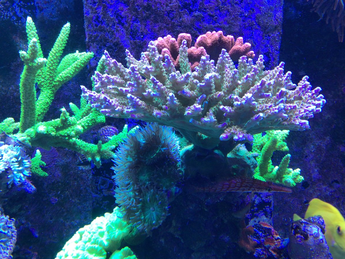 IMG_1969.jpeg