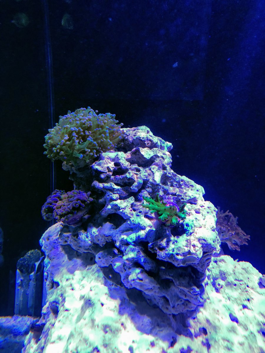 IMG_1970.jpg