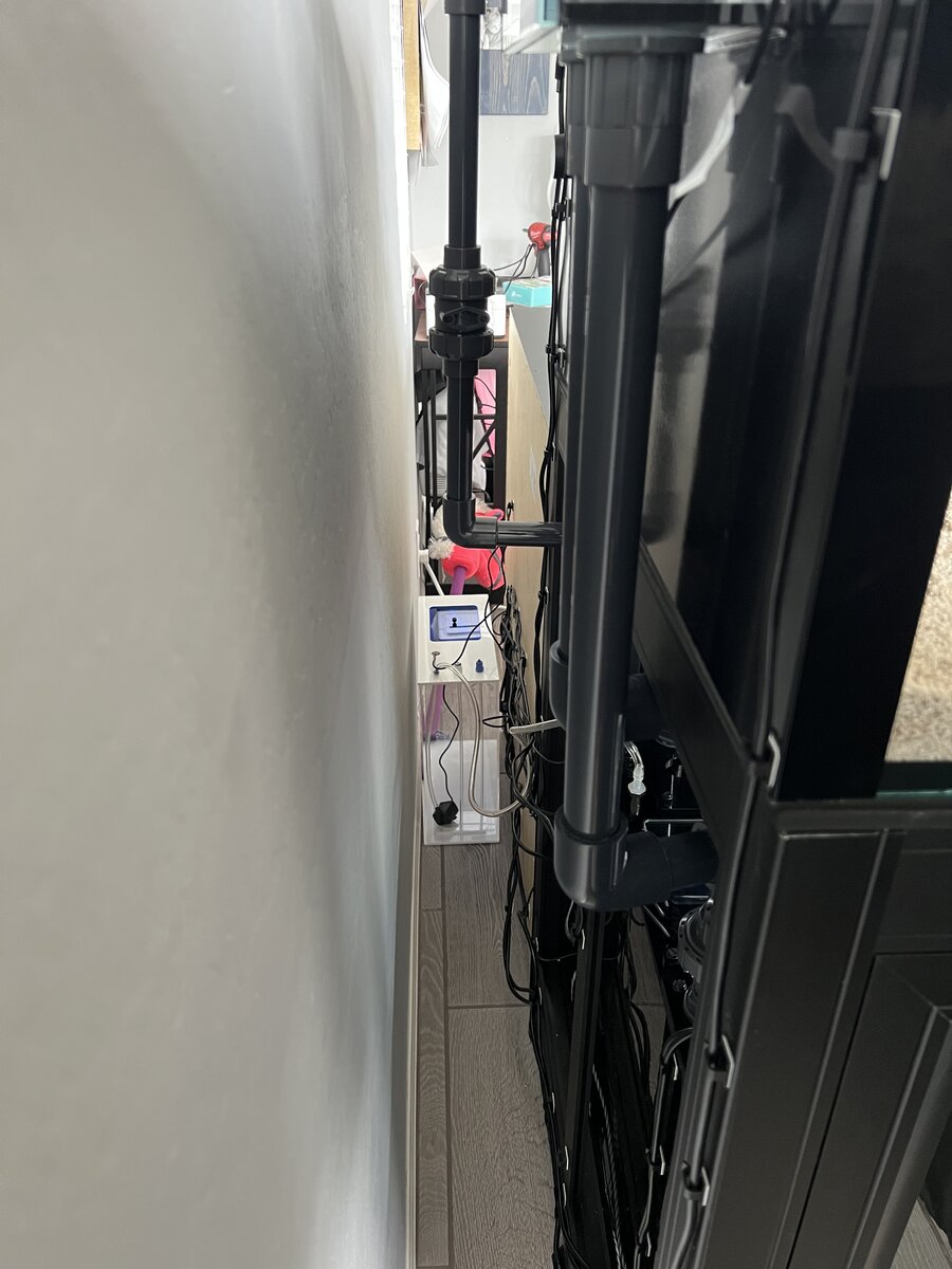 IMG_1971.jpeg