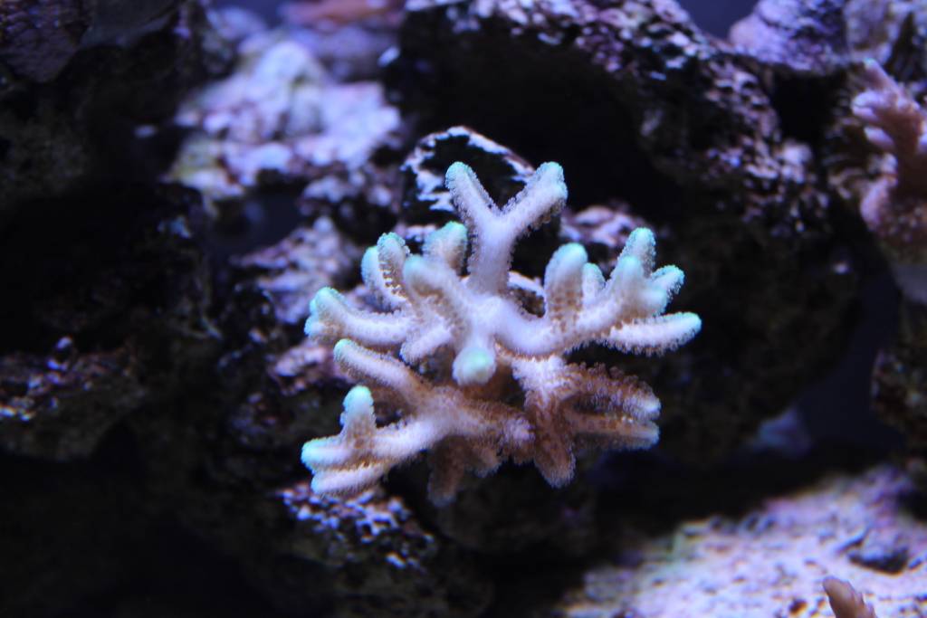 IMG_1971.jpeg