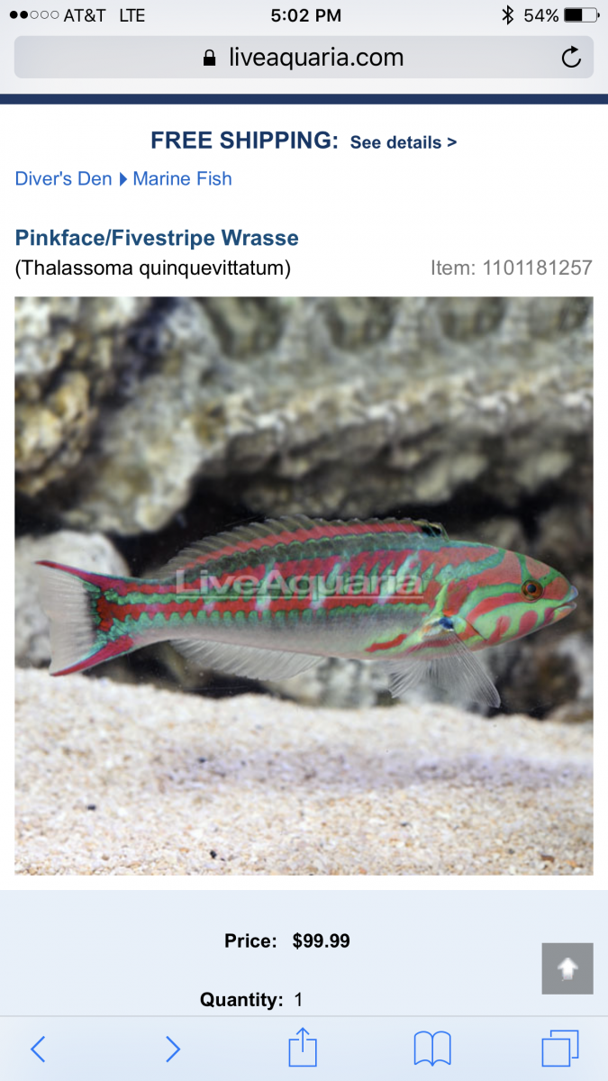 IMG_1979.PNG