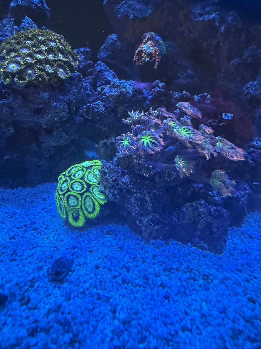 IMG_1980.jpeg
