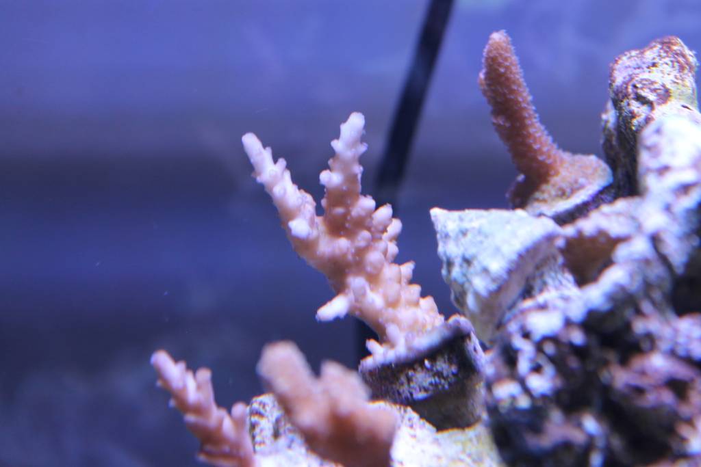 IMG_1980.jpeg