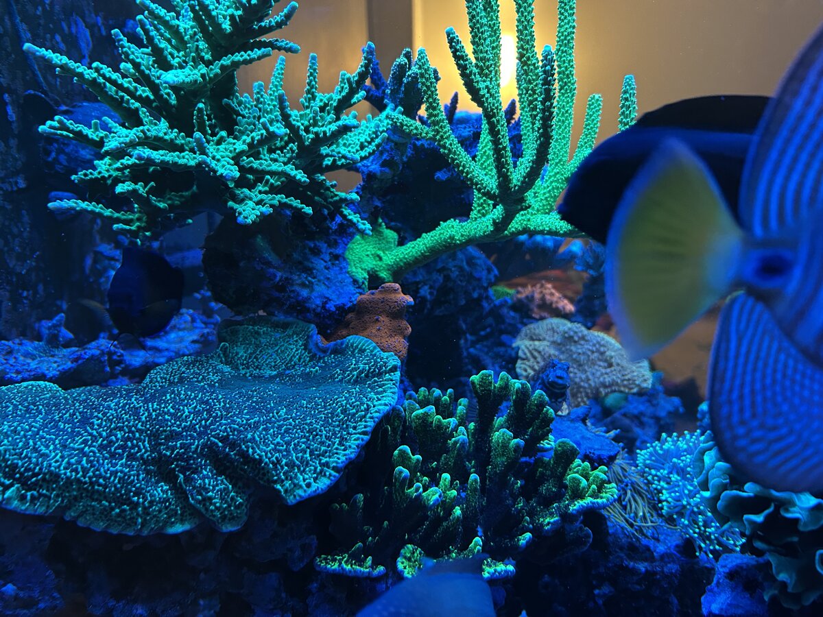 IMG_1984.jpeg