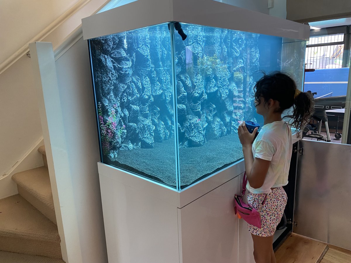 Ideas for my new 5ft wide and tall 2.5ft sump tank set up Reef2Reef