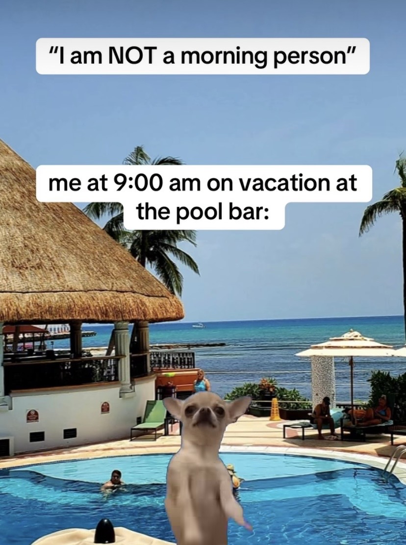 IMG_2004.jpeg