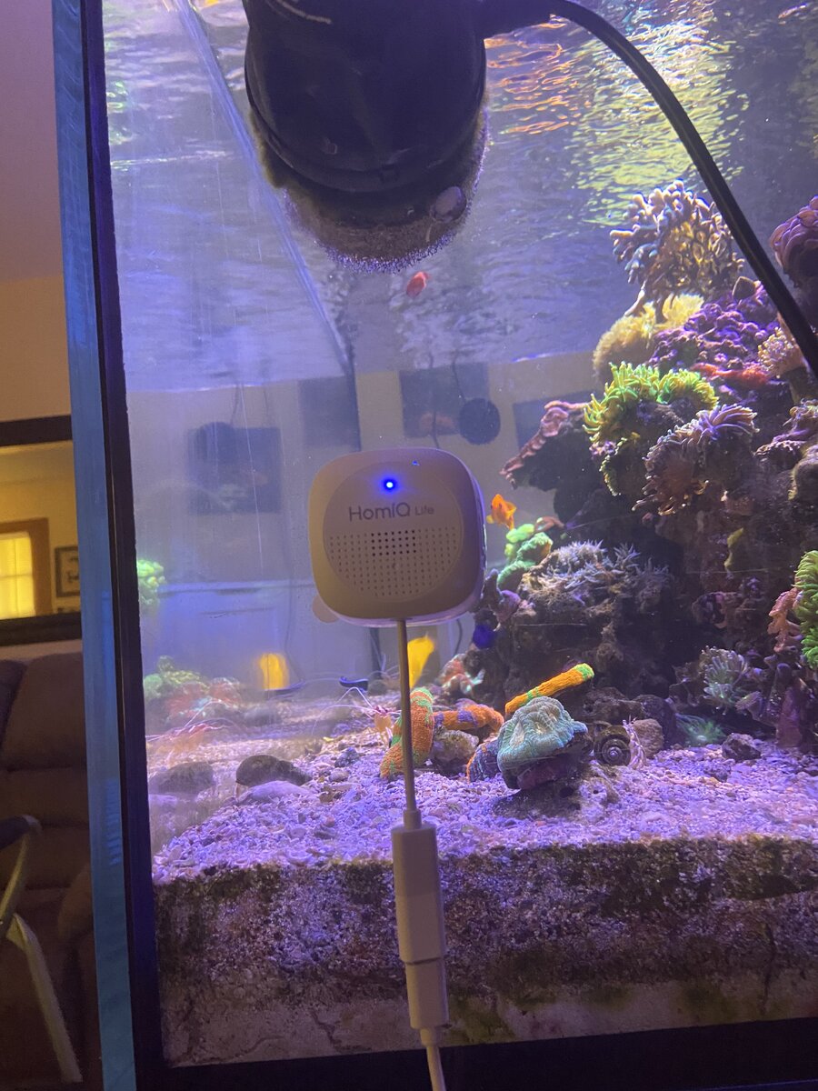 IMG_2014.jpeg