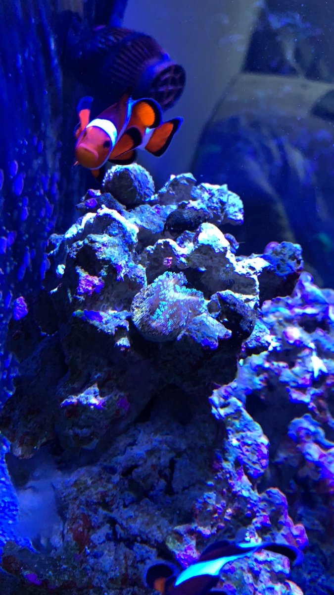 IMG_2016.jpeg