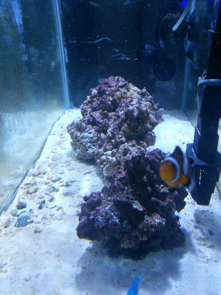 IMG_20161207_133310.jpeg