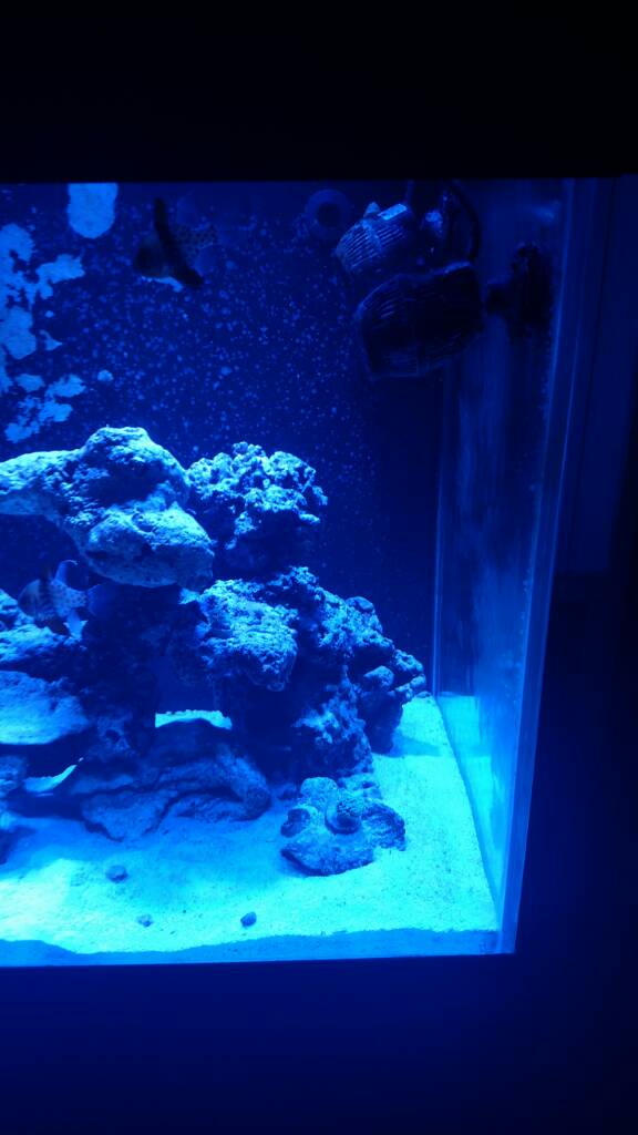 IMG_20170110_203137513.jpeg