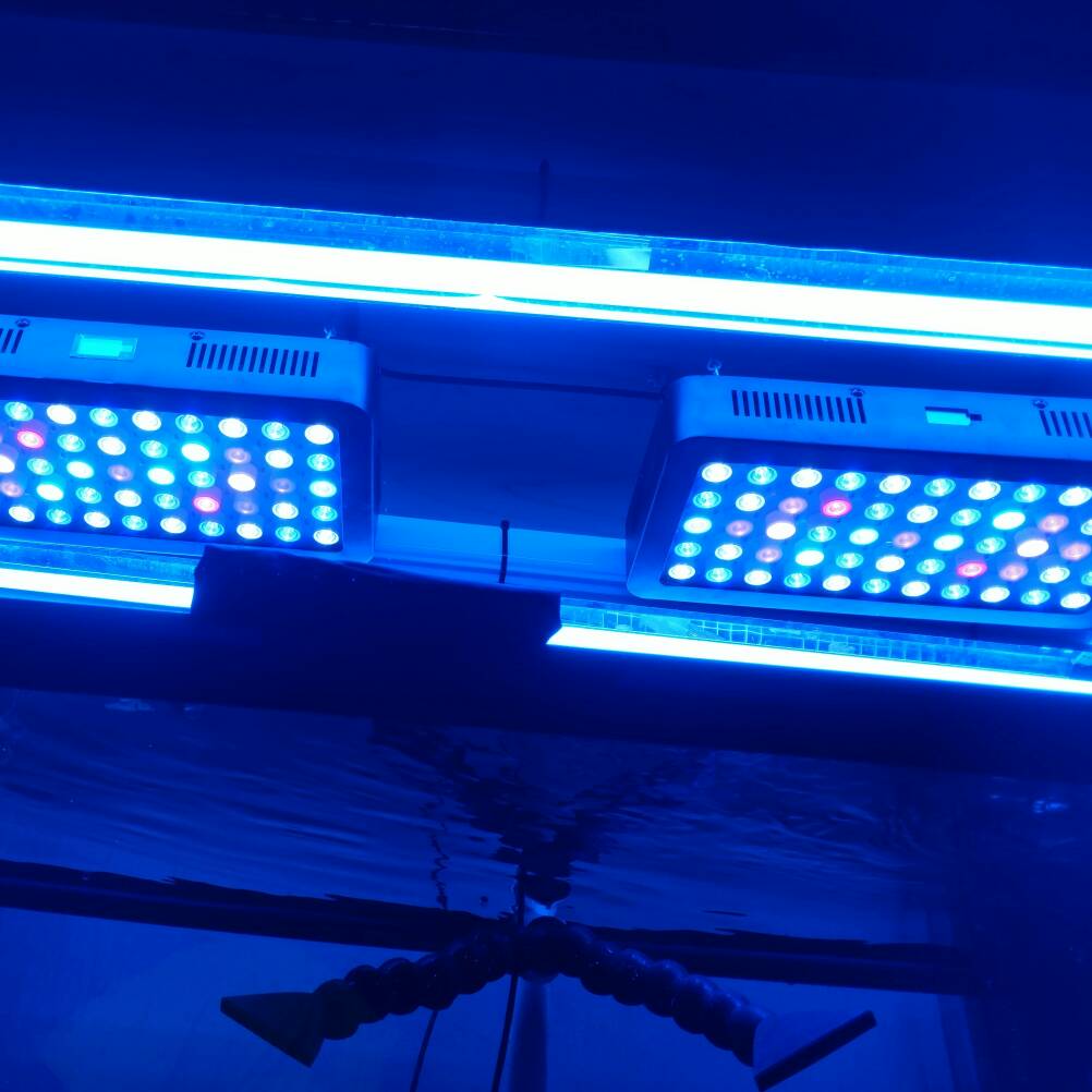 IMG_20170113_210622_024.jpeg