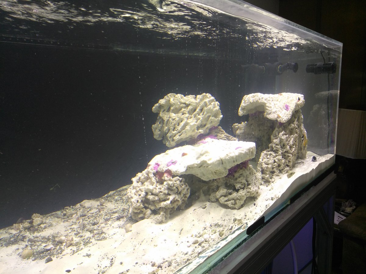 Show me your SPS rockscape | REEF2REEF Saltwater and Reef Aquarium Forum