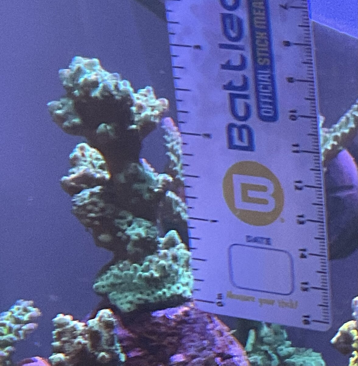 IMG_2018.jpeg