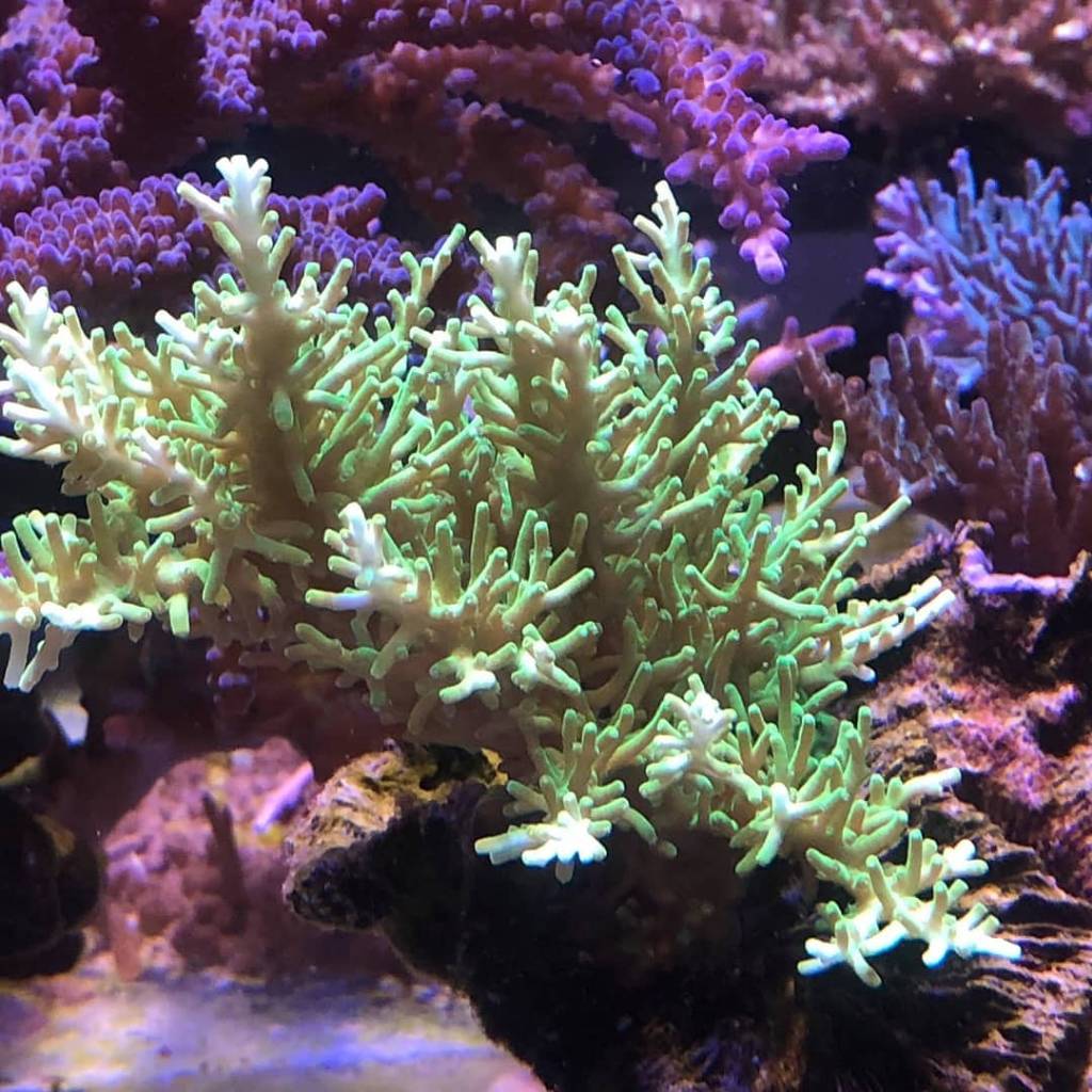 IMG_20180424_082534_877.jpeg