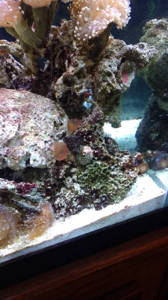 IMG_20180606_173307650.jpeg