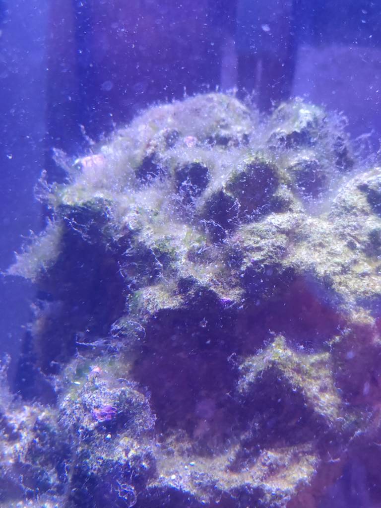 IMG_20180807_203115.jpeg
