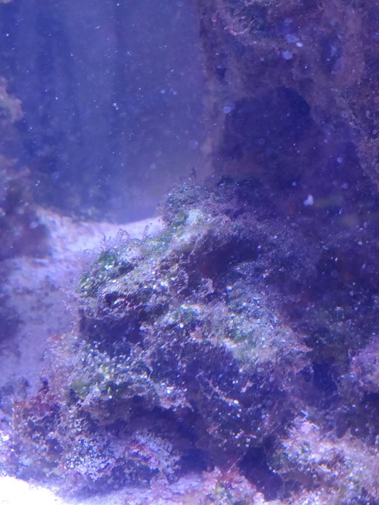 IMG_20180807_203149.jpeg