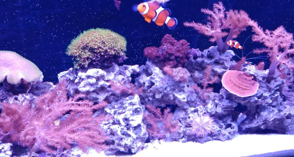 IMG_20180903_222736808~2.jpeg