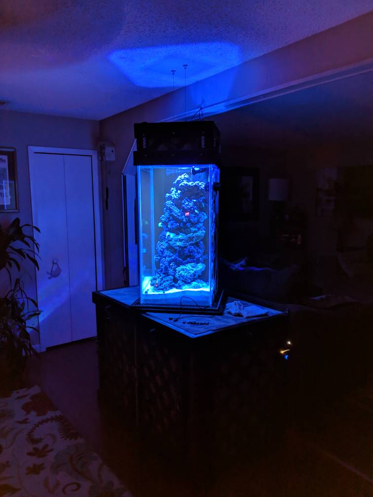 IMG_20181126_221014.jpeg