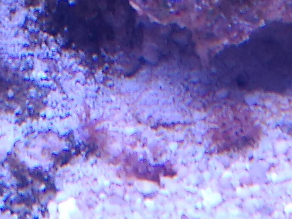IMG_20181128_214843369.jpeg