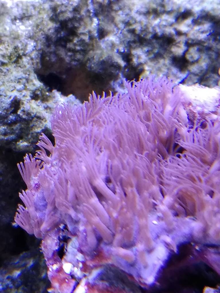 IMG_20181202_105925865.jpeg