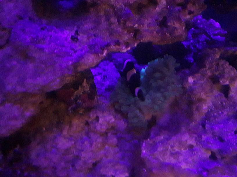 IMG_20181207_205913_43.jpeg