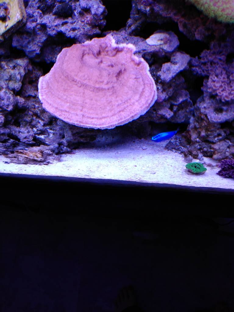IMG_20181208_101426534.jpeg