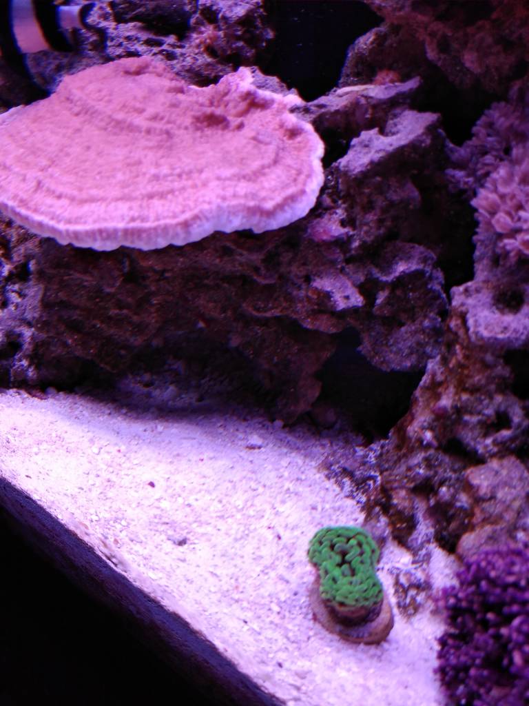 IMG_20181208_101514671.jpeg