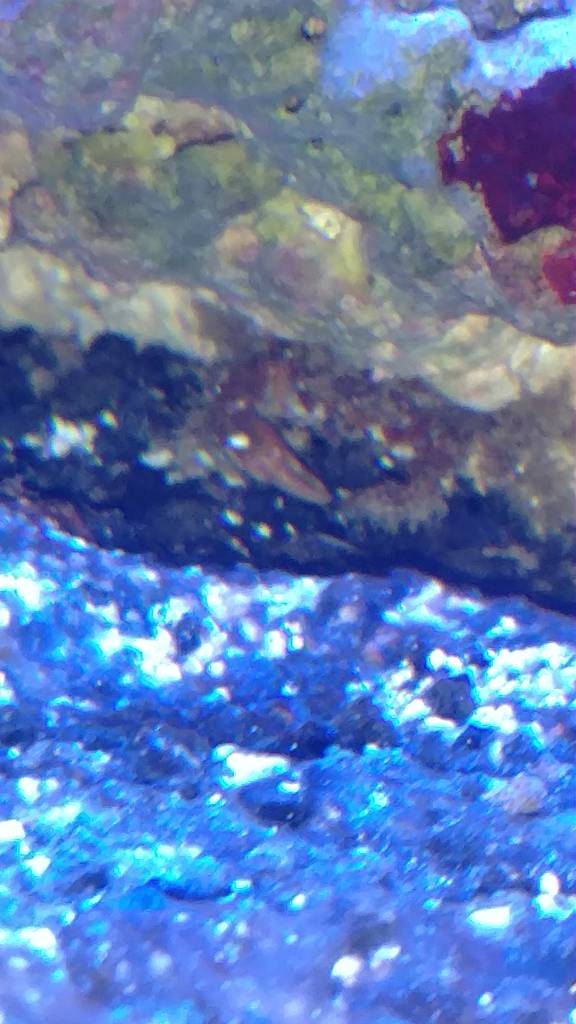 IMG_20181221_205458009.jpeg