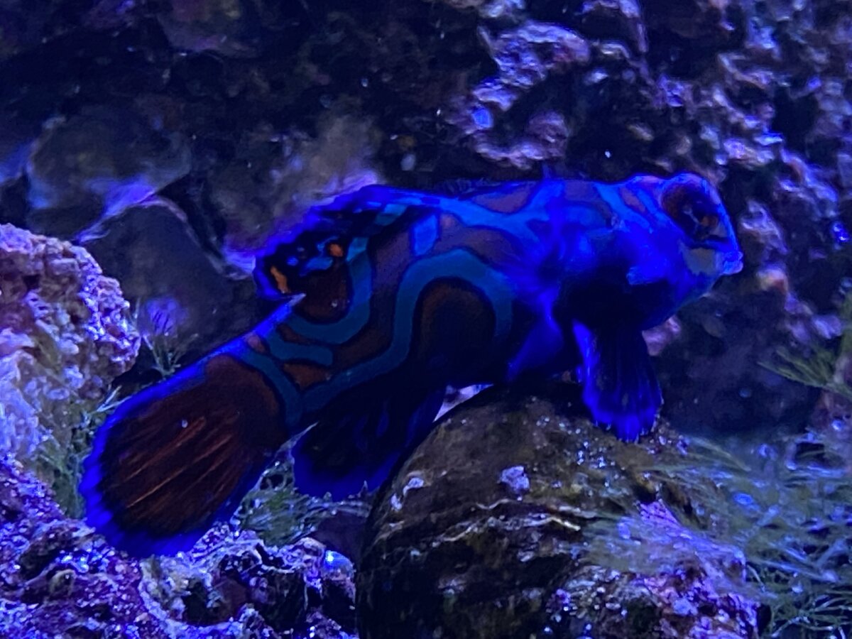 IMG_2019.jpeg