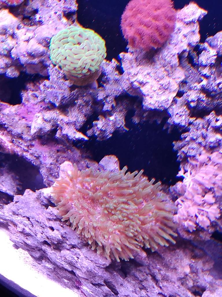 IMG_20190116_180708258.jpeg