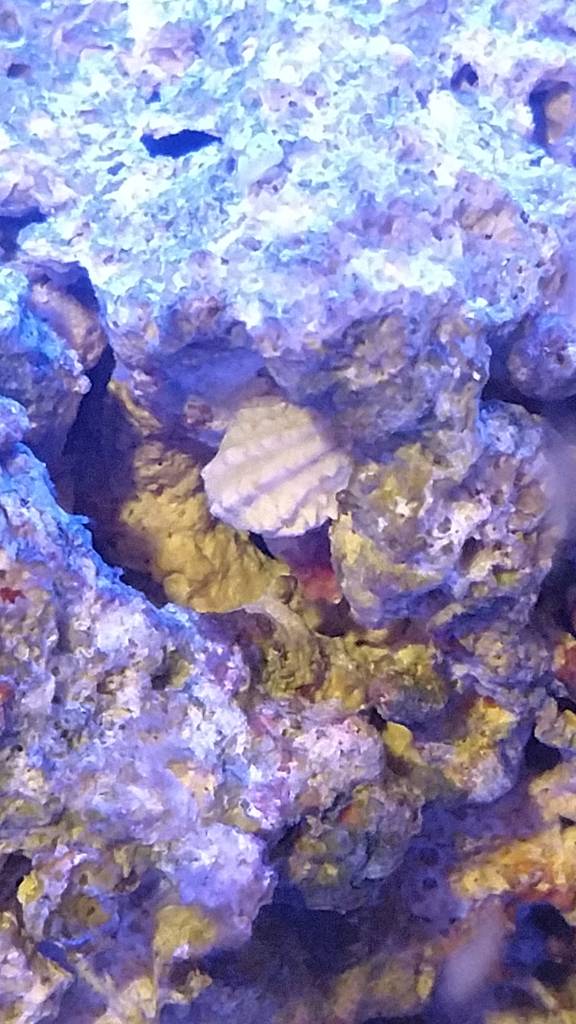 IMG_20190117_204456346.jpeg
