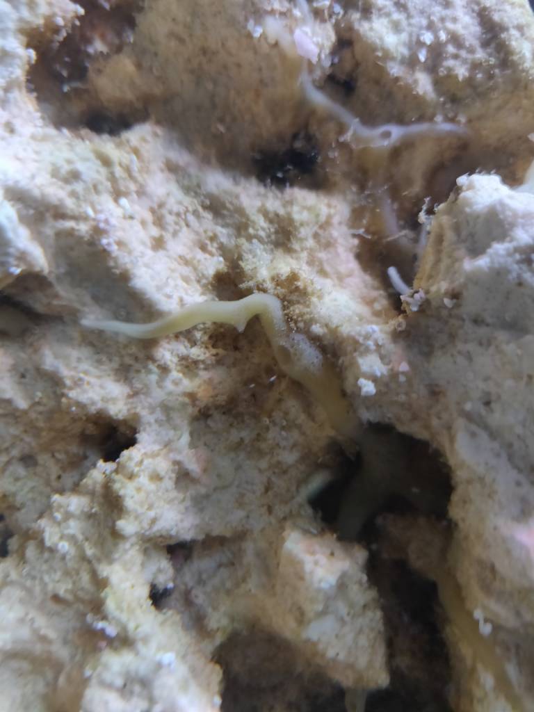 IMG_20190120_141236.jpeg