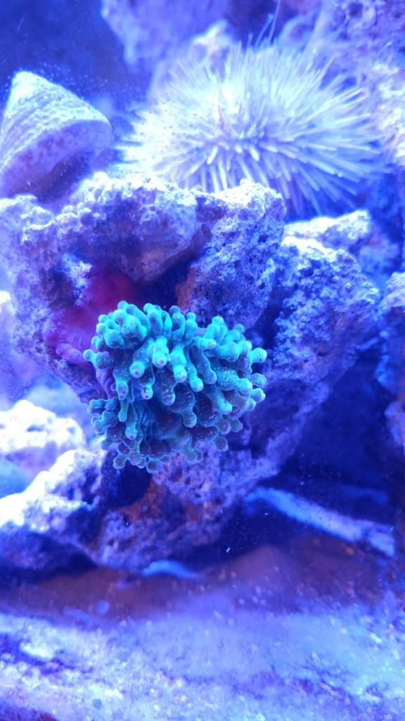 IMG_20190122_180146317.jpeg
