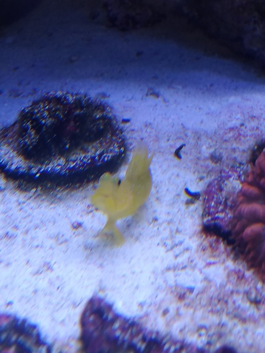 IMG_20190127_213848883.jpg