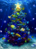 IMG_20190202_223345_01.gif