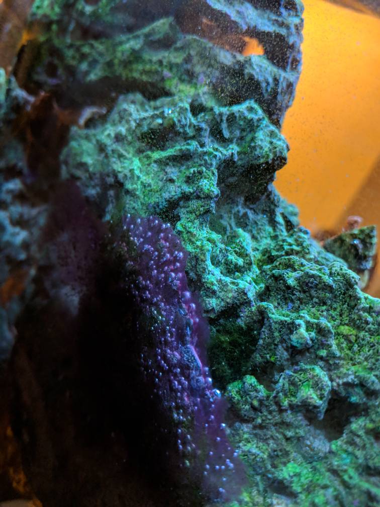 IMG_20190218_175948.jpeg