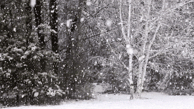 IMG_20190301_145643_01.gif