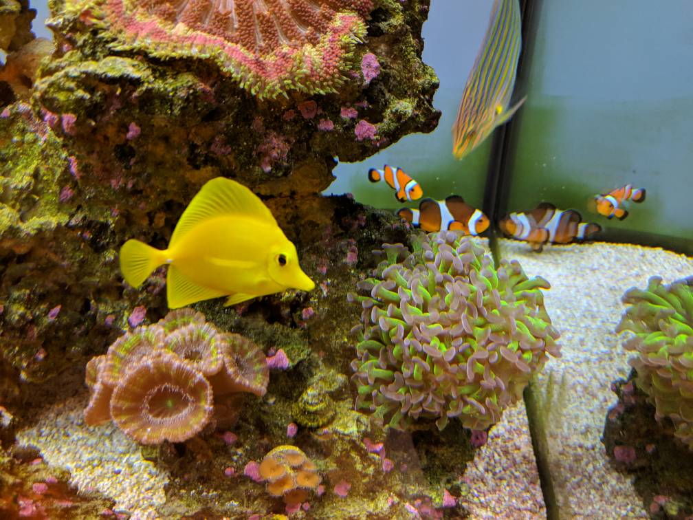 IMG_20190317_155118.jpeg