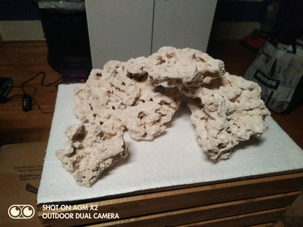 IMG_20190331_002334.jpeg