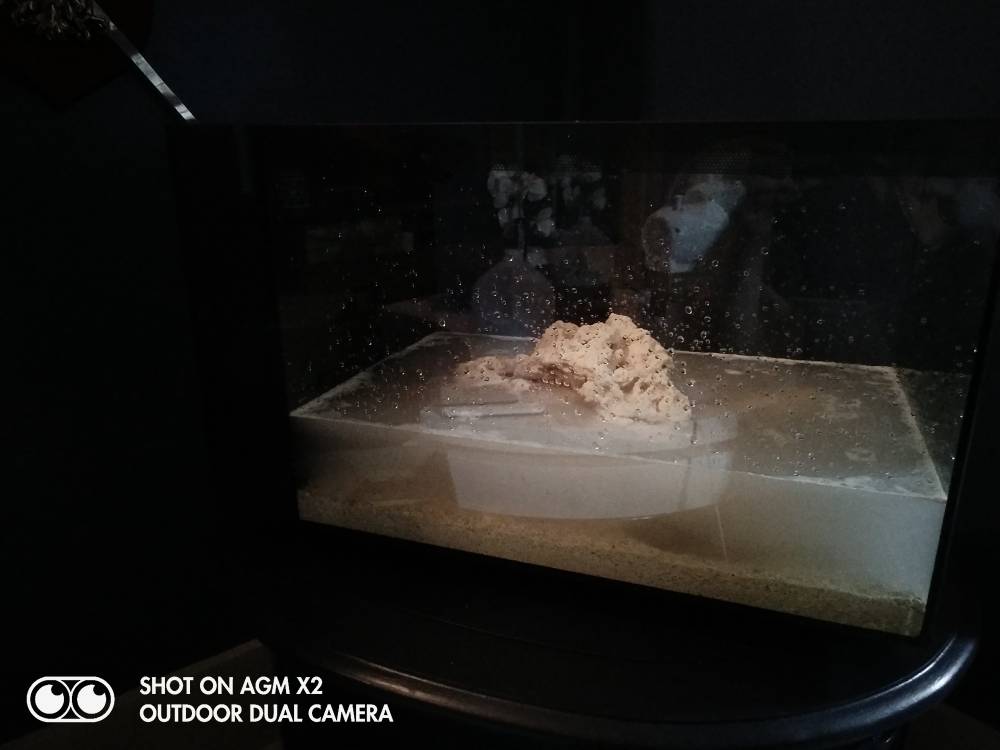 IMG_20190403_232944.jpeg
