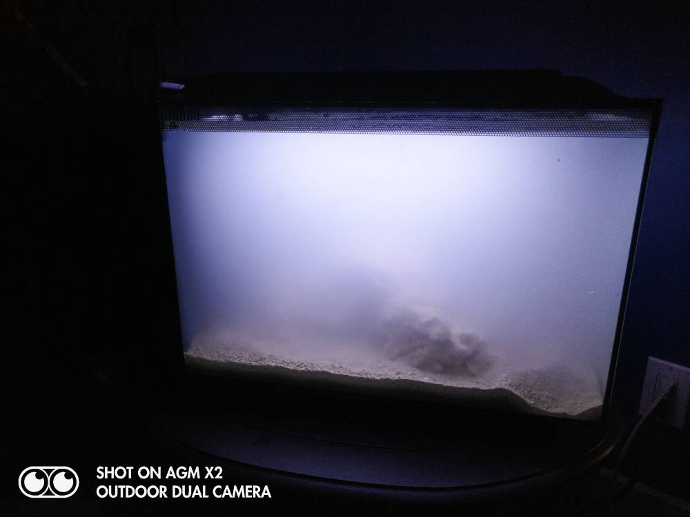 IMG_20190404_000303.jpeg