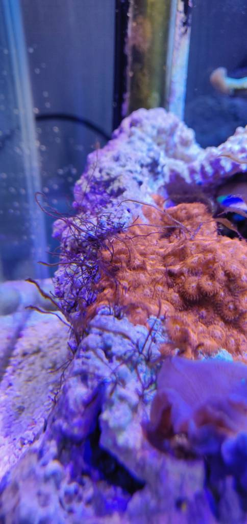 IMG_20190418_185610.jpeg
