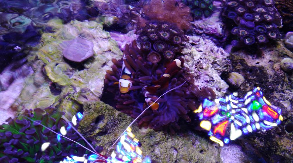 IMG_20190424_195738.jpeg