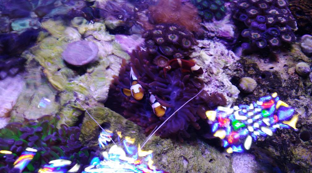 IMG_20190424_195739.jpeg